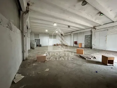 Hala 225 mp, ideala depozitare sau productie, Calea Sagului - Timisoara