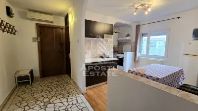 Apartament 2 camere de vanzare, etaj intermediar, centrala, Bucovina - foto 12