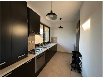 Apartament de 3 camere in zona Iancu Nicolae 2 parcari - foto 4