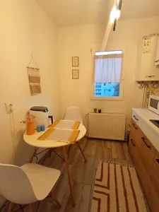 Apartament 2 camere de închiriat – Podu Roș | 2 minute de Palas - foto 3