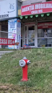 Casa noua de vanzare in Valea Uzului langa baraj - foto 13