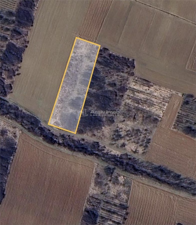 Teren extravilan de vanzare – Dealul Viilor, Biharia | 3000 mp - Biharia