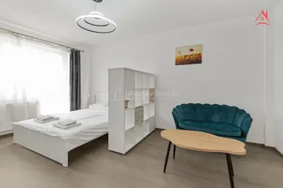 Inchiriere garsoniera - boiler - Visana - Tineretului - foto 2