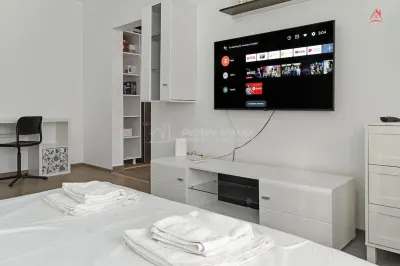 Inchiriere garsoniera - boiler - Visana - Tineretului - foto 3