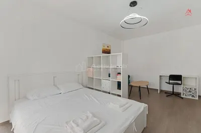 Inchiriere garsoniera - boiler - Visana - Tineretului - foto 4