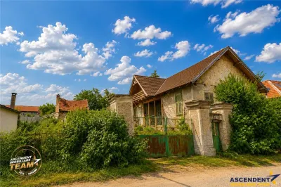 FILM! Casa personalizabila +2.700mp teren,pomi fructiferi,langa Sfantu Gheorghe: Santionlunca - foto 4
