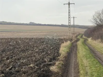 Teren extravilan in EXCLUSIVITATE 20300 mp in Sura Mica - foto 3