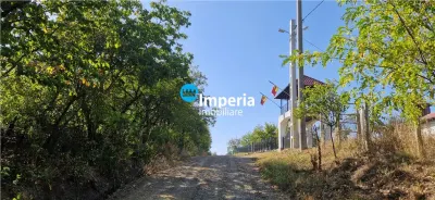 Teren intravilan de vanzare in Iasi, amplasat in zona Holboca-Ruseni - foto 9