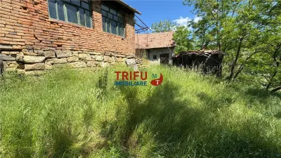 Casa de vanzare in Inuri comuna Vintu de Jos - foto 3