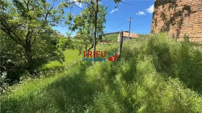 Casa de vanzare in Inuri comuna Vintu de Jos - foto 4
