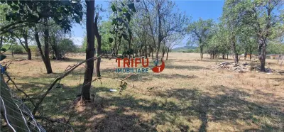 Teren de vanzare zona Paclisa - foto 7