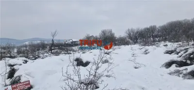 Teren de vanzare zona Podei - foto 8