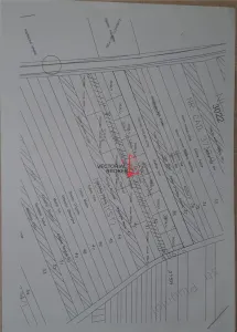 Vanzare teren intravilan Branesti Ilfov - foto 2