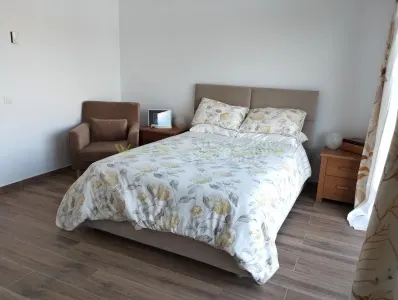 Vanzare casa 5 camere,  pe un nivel, 2021, vedere lac Snagov, - foto 16