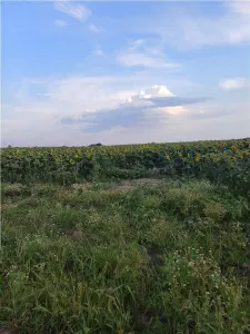Otopeni-Str.Dr.Garii Balotesti-70.000mp-front 220ml-Ideal Investitie - foto 7