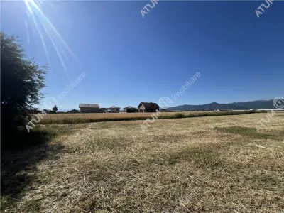 De vanzare teren extravilan de 10400 mp in Cristian zona Serelor - foto 2
