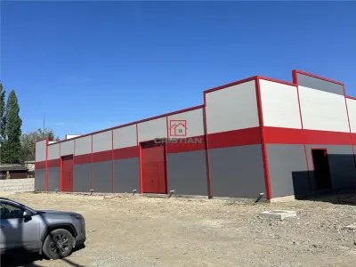 Inchiriere depozit/hala/spatiu industrial Jilava - Giurgiului - foto 2