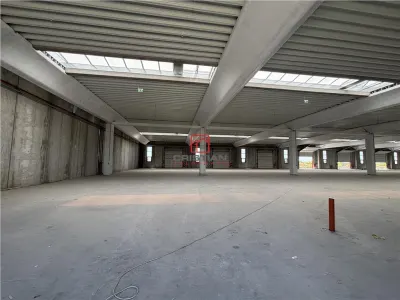 Vanzare depozit/spatiu industrial/hala Chitila - Rudeni, ILFOV - foto 12