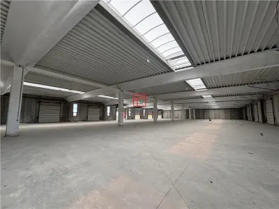 Vanzare depozit/spatiu industrial/hala Chitila - Rudeni, ILFOV - foto 5