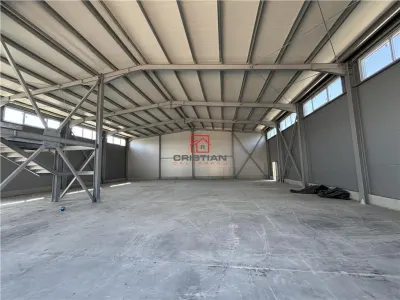 Inchiriere depozit/hala/spatiu industrial Theodor Pallady - Drumul Intre Tarlale - Oxigenului - foto 11