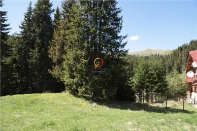 terenuri speciale Padina Busteni - foto 17