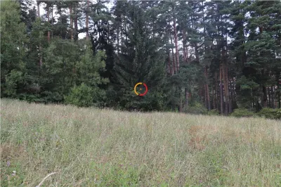 teren intravilan cu PUZ si PUD 2 loturi - foto 2