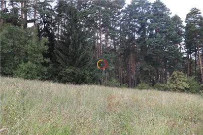 teren intravilan cu PUZ si PUD 2 loturi - foto 6