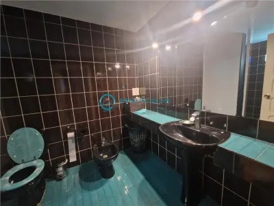 Royal Imobiliare - vanzare vila P+1, zona Marasesti - foto 10
