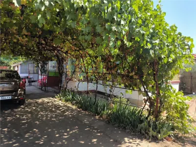Casa de vanzare in sat Novaci ,teren de 865 mp, acces asfaltat,Ocazie! - foto 10