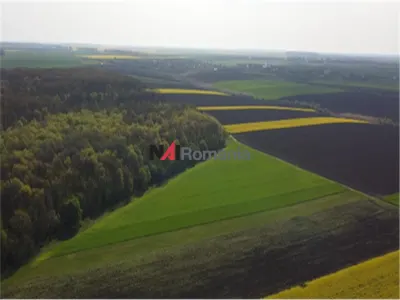Vanzare Teren Central, Moara Vlasiei - foto 3