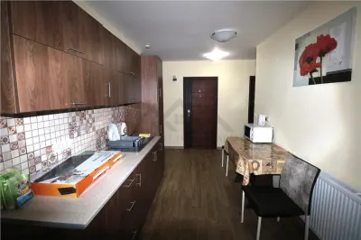 Garsoniera in Zona Torontalului - foto 4