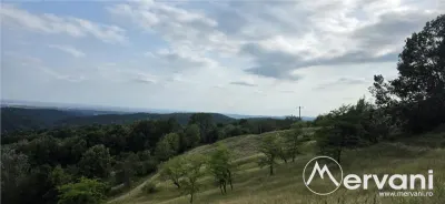 Refugiu in mijlocul naturii - foto 11