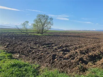 Teren extravilan 4.500- max.18.300mp in comuna Rosia (17 km de Sibiu) - foto 4