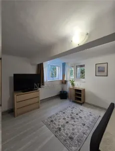 Apartament 1 camera, Andrei Muresanu - foto 7