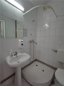 Vila Pod Basarab - foto 5