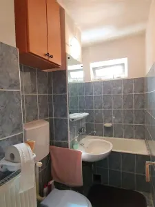 Apartament 2 camere  de inchiriat in Hipodrom - foto 5