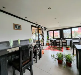 Casa individuala de vanzare si restaurant funcioanal, Sag, COMISION 0 - foto 11