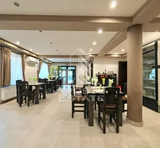 Casa individuala de vanzare si restaurant funcioanal, Sag, COMISION 0 - foto 5