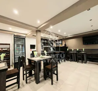 Casa individuala de vanzare si restaurant funcioanal, Sag, COMISION 0 - foto 8