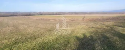 TEREN AGRICOL 1,524 HA, LA DOAR 10.000€ Comision Zero % - foto 2