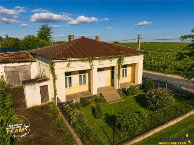 FILM! Domeniu de 4.000 mp intravilan+ casa autentica, in podgoriile Odobesti,Vrancea - foto 5