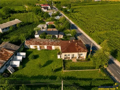FILM! Domeniu de 4.000 mp intravilan+ casa autentica, in podgoriile Odobesti,Vrancea - foto 9