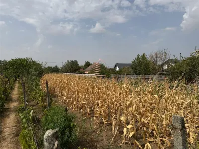 Teren intravilan in Biharia - foto 4