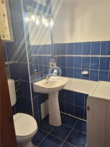 Apartament 3 camere de vanzare zona Mircea - foto 5