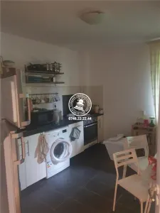 Vila  de vanzare  Copou, - foto 11