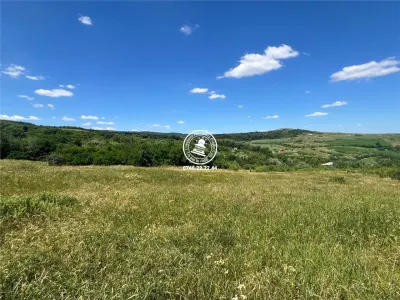 Teren pentru constructii case  de vanzare Iasi, Goruni, - foto 2