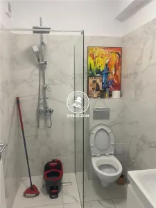 Apartament 1 camera  de inchiriat  Valea Lupului, - foto 8