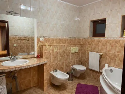 Vanzare casa individuala 6 camere cu piscina si ponton propriu la raul Bega - foto 5