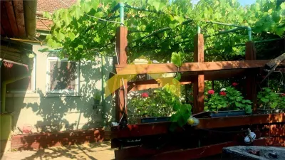 Casa la sol de vanzare Timisoara, zona Mehala - Timisoara