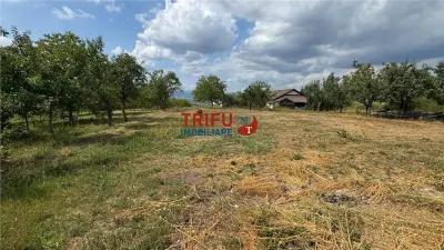 Teren intravilan de 10.651 mp – Oarda de Sus, Alba Iulia - foto 7